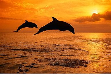 TGA 2023：开放世界游戏《Exoborne》新预告