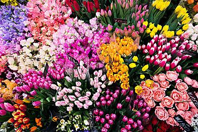 B站高能电玩节高能来袭！9月23日独家资讯首曝 免费试玩最新游戏